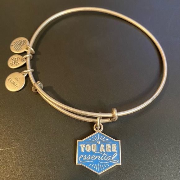 💙ALEX AND ANI💙”You Are Essential”Bangle Bracelet with Silver Finish/GC - Picture 3 of 4